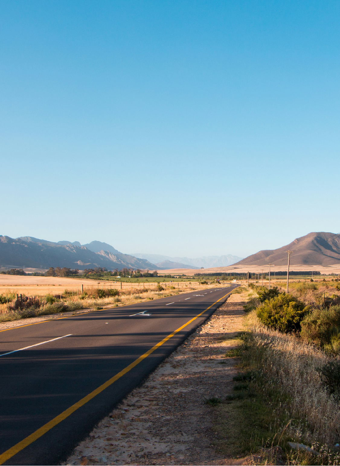Road Trips